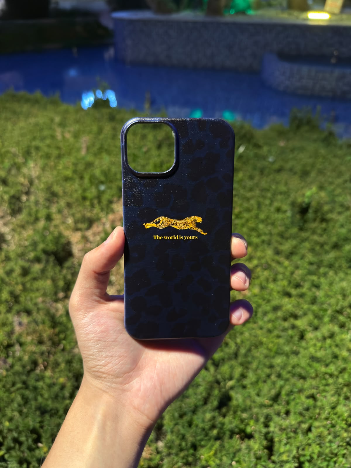 The World is Yours Telefon Kılıfı