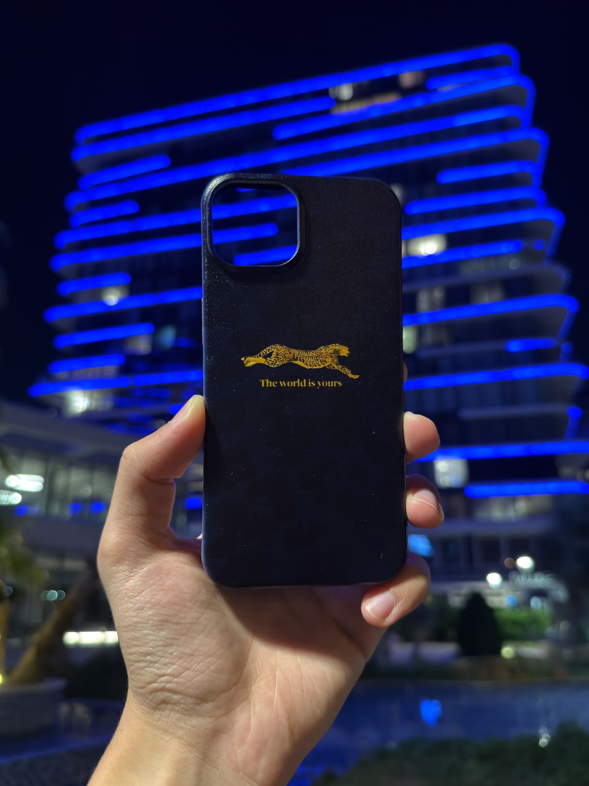 The World is Yours Telefon Kılıfı